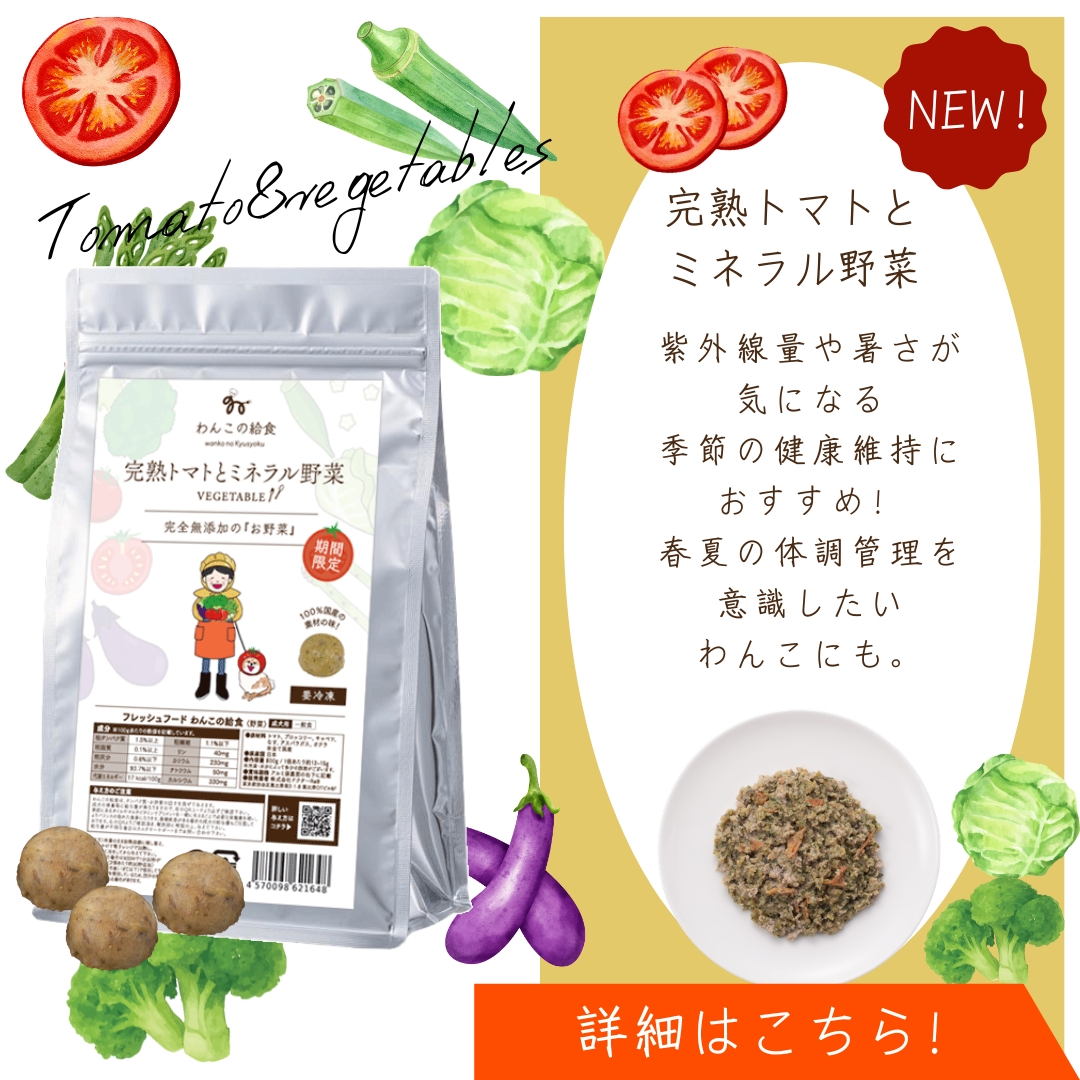 わんこの給食